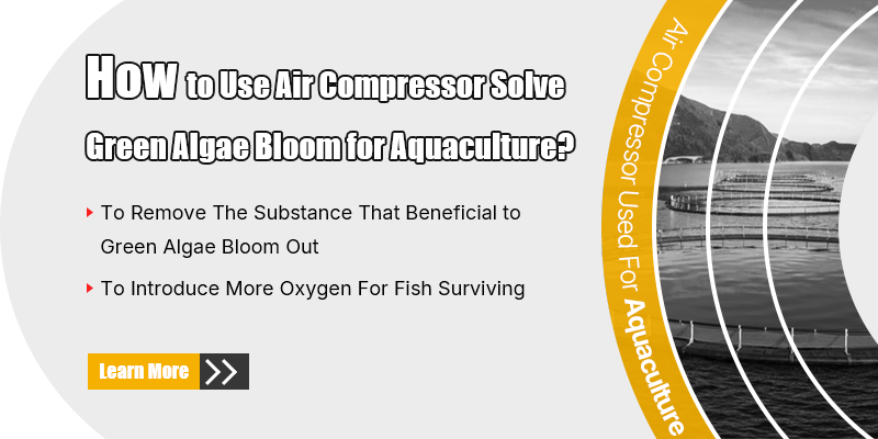 How to Use Air Compressor Solve Green Algae Bloom for Aquaculture