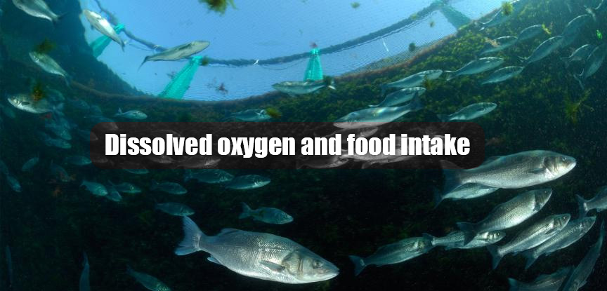 Dissolved oxygen and food intake