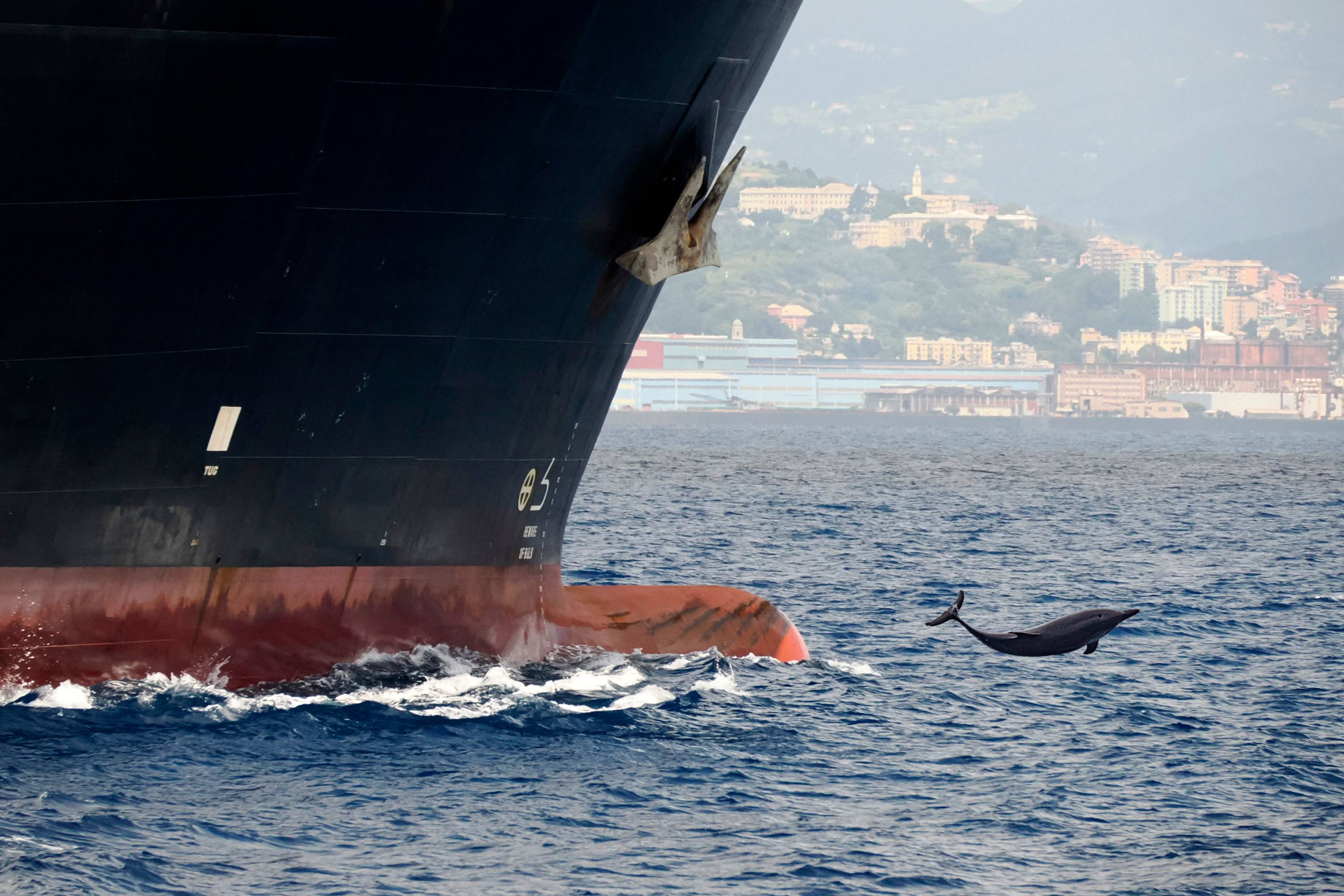 Environmental protection of marine gensets