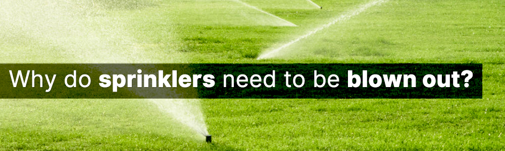 air compressor for sprinkler blowou