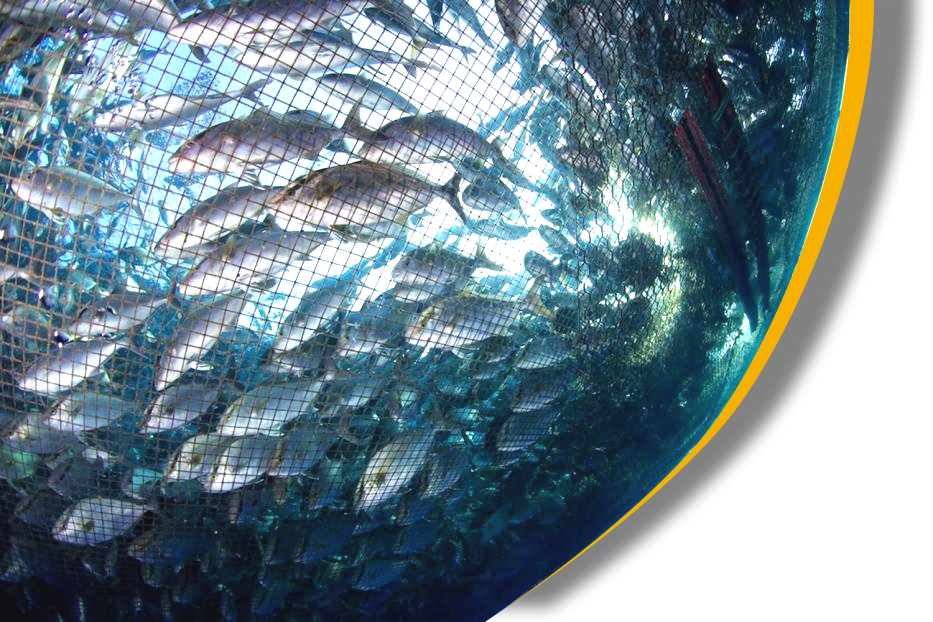 aquaculture air blower