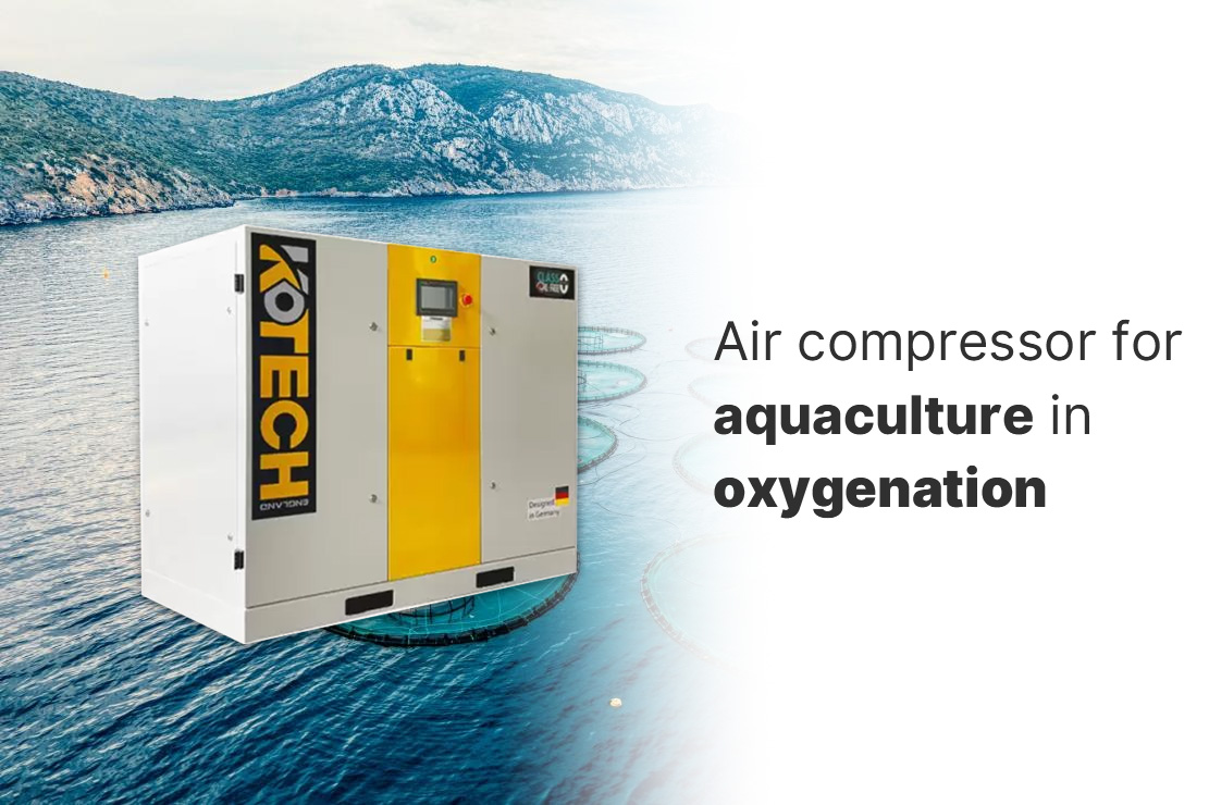 Aquaculture air pump