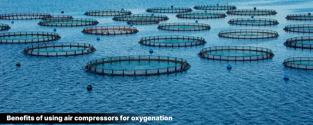 compressor for aquaculture