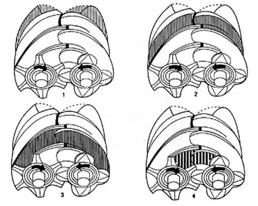 Screw compressor compression process