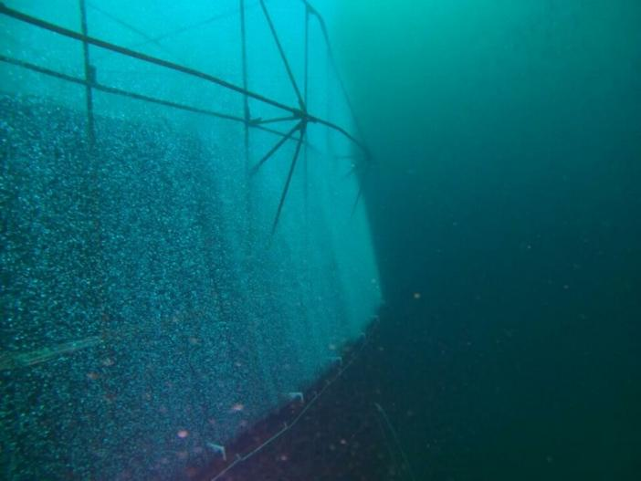 Offshore bubble curtain Offshore bubble curtain