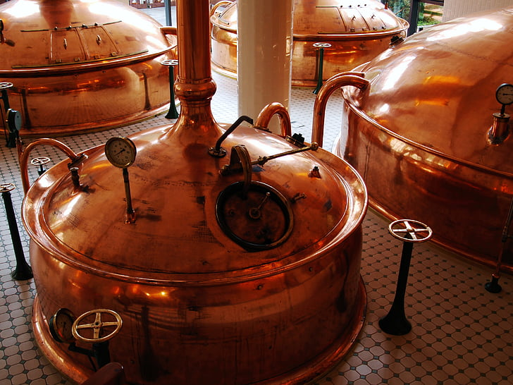 Beer fermentation