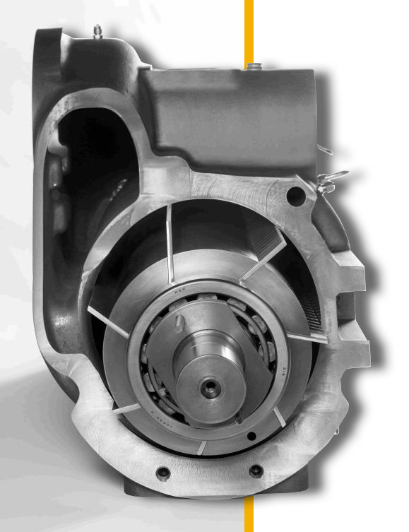 Rotary vane compressor