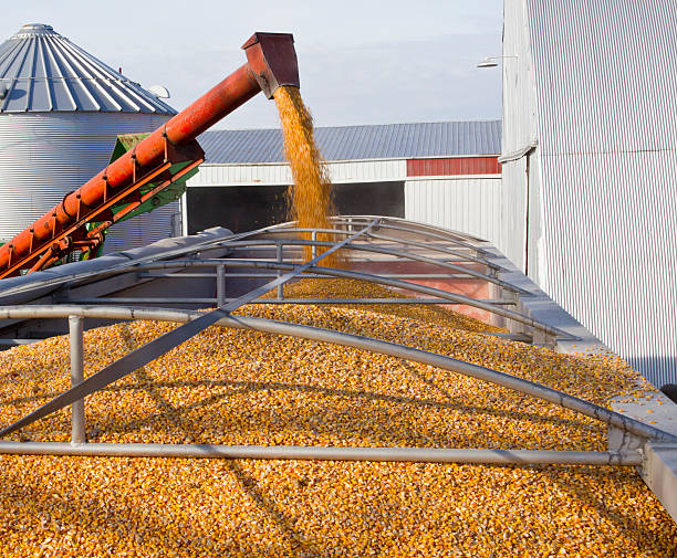 Air blower for grain conveying